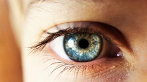 Anwendung: Wimpern färben